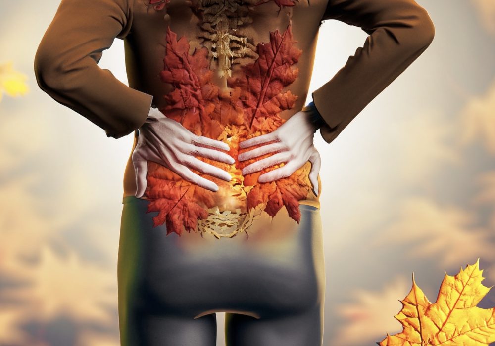 秋の腰痛対策