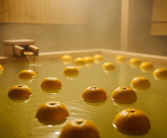 もう少しで冬至ですね。【12月22日】